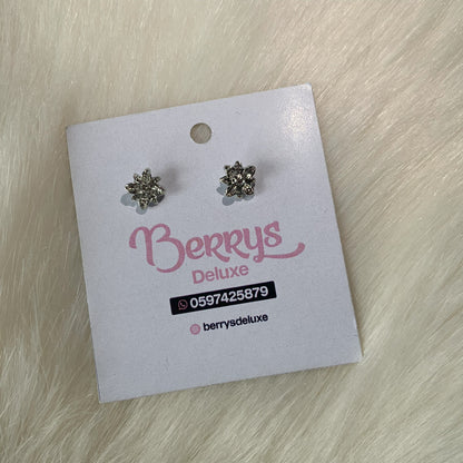 Stud Earrings